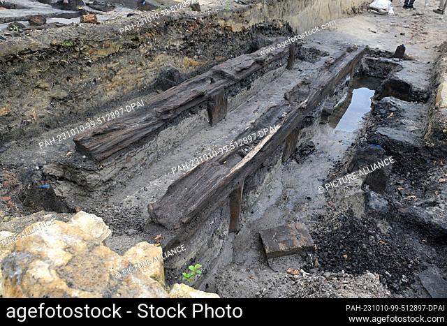 10 October 2023, Brandenburg, Potsdam: Wooden foundations on which water wheels once stood protrude from the ground on the former site of the...