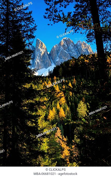 Odle in autumn, Dolomiti, alto adige, italy, europe