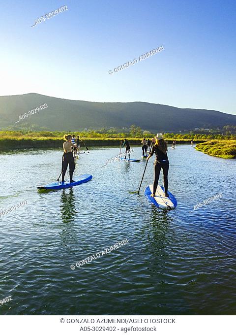 Stand up Paddle Surf (SUP) in Urdaibai Estuary. Urdaibai Biosphere Reserve. Biscay, Basque Country, Spain