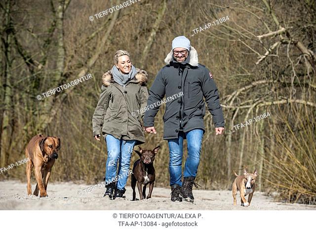 man and woman with 3 dogs