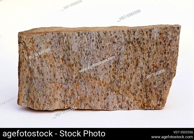 Spotted schist is a metamorphic rock originated by contact metamorphism. Sample