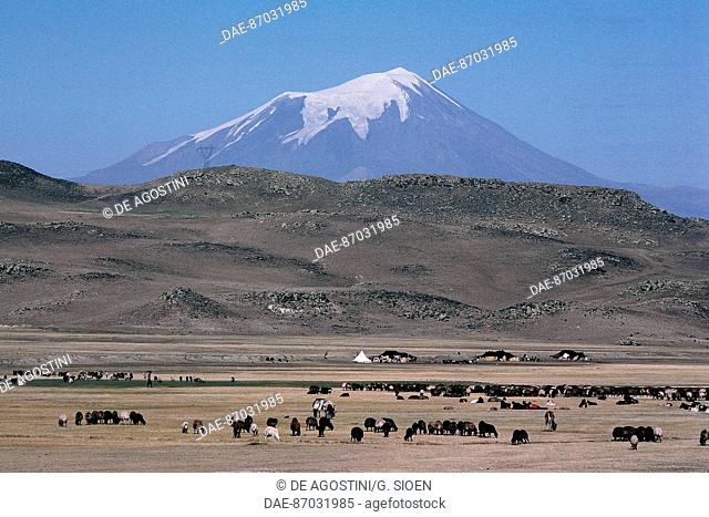 Mount Ararat (5137 metres) seen from the Dogubeyazit plain, Eastern Anatolia Region, Turkey