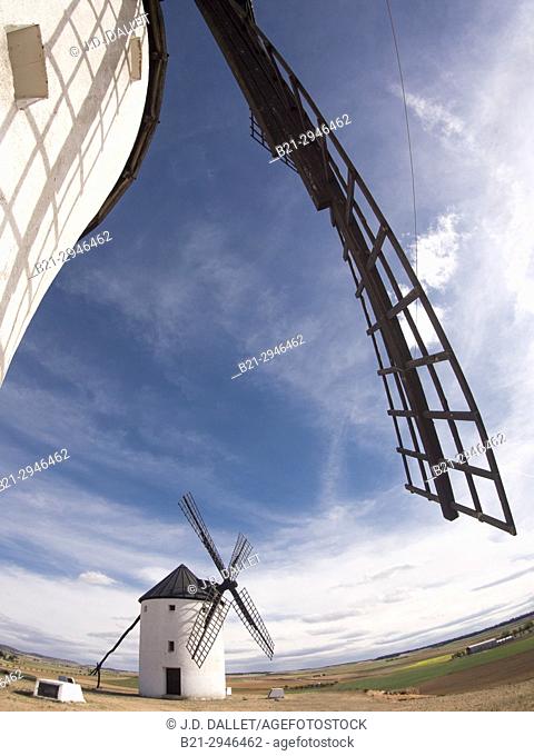 Spain, Castile-La Mancha, Province of Ciudad Real, the famed Don Quixote's Windmills at Tembleque