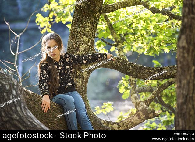 Young girl, dressed in jeans and a blouson with floral motifs, sitting on a branch of an old oak tree on the edge of a pond in the Forest of Rambouillet
