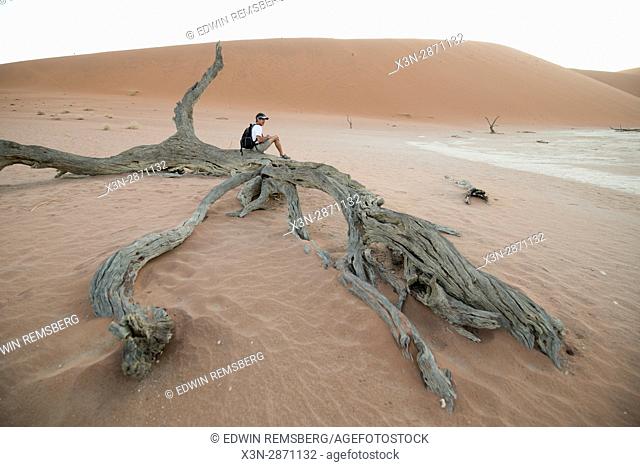 A tourist sits on top of a dead acacia tree trunk at the Namib-Naukluft National Park, located in Namibia, Africa
