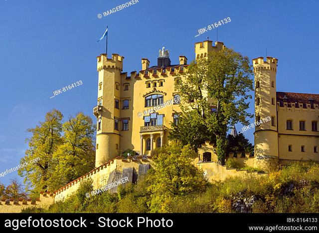 Hohenschwangau Castle, Füssen, Swabia, Allgau, Bavaria, Germany, Europe