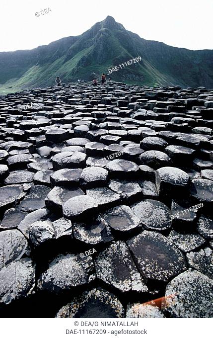 United Kingdom - Northern Ireland - County Antrim - Giant's Causeway (UNESCO World Heritage List, 1986). Prismatic basalt columns