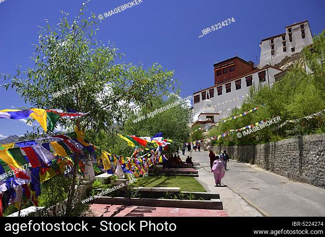 Thiksey Monastery, Ladakh, Jammu and Kashmir, India, Asia