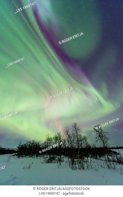 Northern Lights Aurora Borealis in Scandinavia