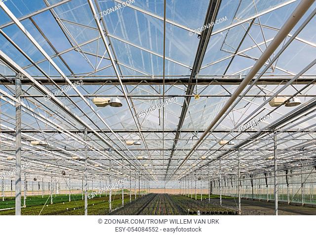 Glass roof of a big Dutch greenhouse