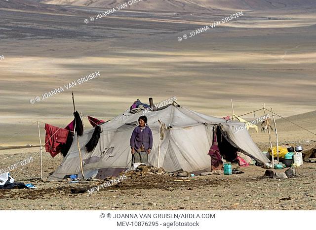 Changpa nomad tent. More Plains. Changthang Eastern Ladakh, India