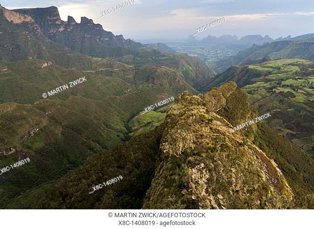 Landscape in the Simien Mountains National Park  AFter sunset at the escarpment near Chennek with a view of the escarpment