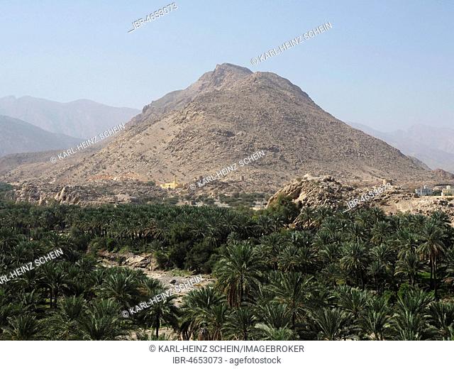 Al Hajar Mountains, in front palm oasis, view from the fortress Nakhl, Nakhl, Oman