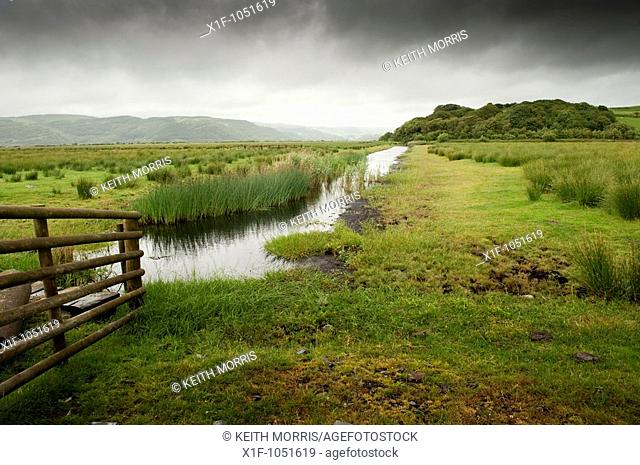 managed wetlands at the Ynyshir RSPB royal society for protection of birds,  nature reserve in the Dyfi estuary biosphere, Ceredigion Wales UK