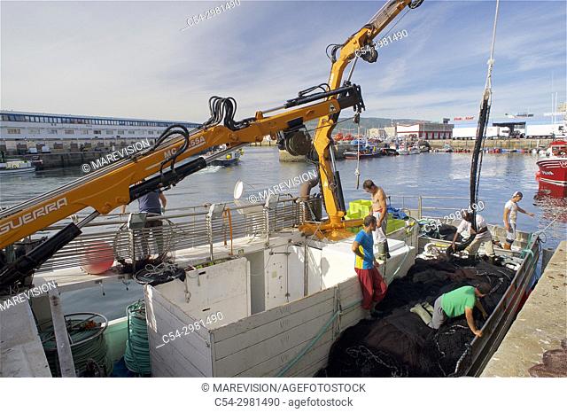 Purse-seine fishing. Loading the nets. Sardines (Sardina pilchardus). Horse mackerel (Trachurus trachurus). Mackerel (Scomber scombrus)