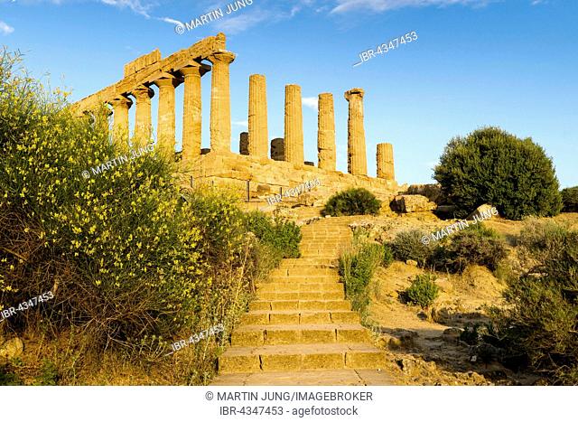 Temple of Juno or Juno Lacinia temple, Tempio Giunone, antiquity, Valley of the Temples, Valle dei Templi, Agrigento, Sicily, Italy