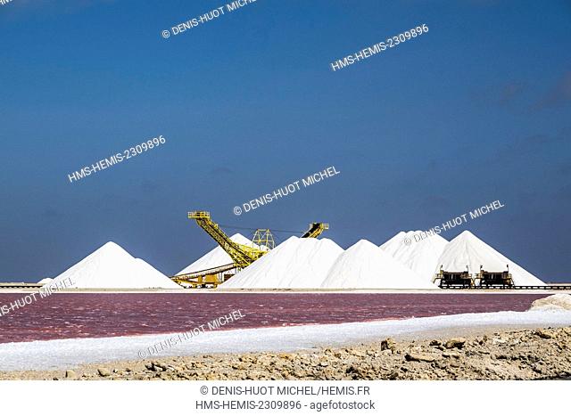 Dutch West Indies, Bonaire island, salt mounts of the Pekelmeer salines