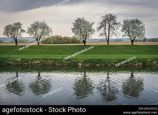 Morava river bank in Uherske Hradiste city in Zlin Region, Moravia in Czech Republic