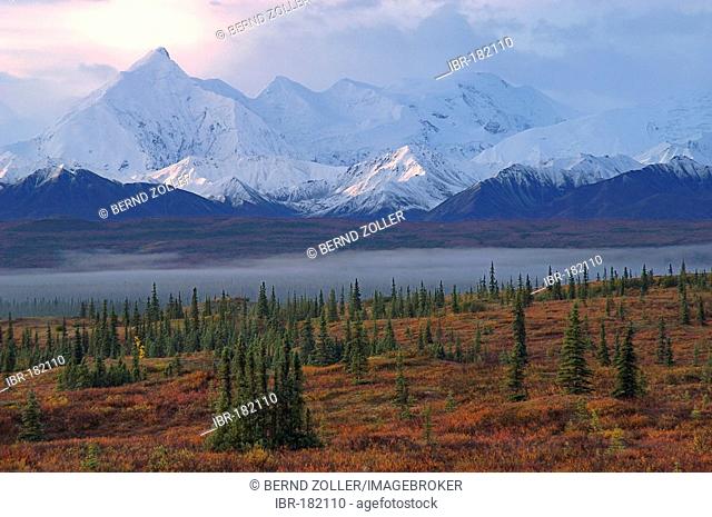 Atmospheric light , sunrise and morning fog , with Alaska Range in background , Wonderlake Area , Denali Nationalpark Alaska USA