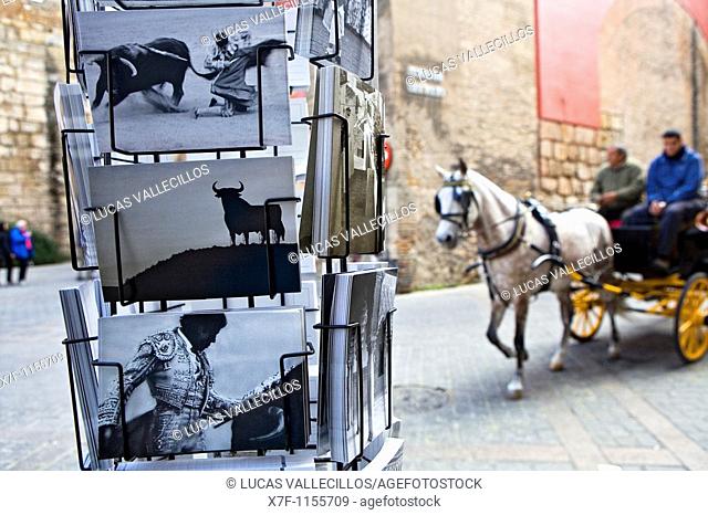 Postcards and carriage at Miguel Mañara street Santa Cruz quarter  Seville  Spain