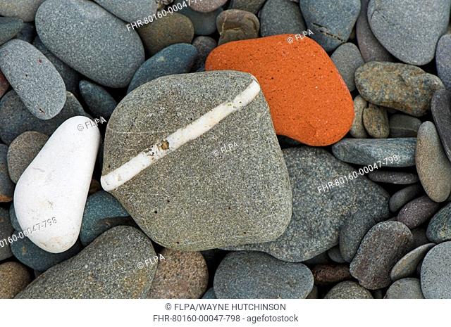 Pebbles on beach, near Maryport, Cumbria, England