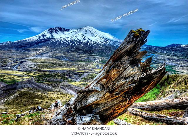 HDR - MOUNT SAINT HELENS AND NORTHERN BLAST ZONE - USA 14 - 01/01/2018