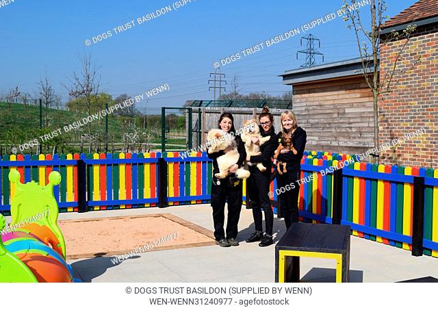 A Wickford-based dog charity has unveiled a new puppy playground offering the youngsters in its care a safe place to have fun and frolics