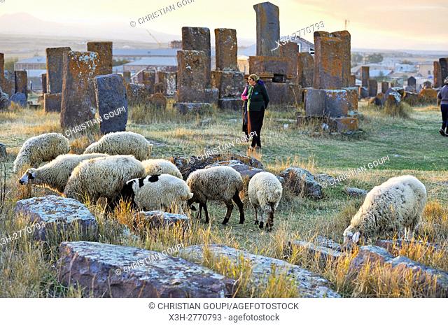 shepherdess at Noratus cemetery (the largest surviving cemetery with khachkars in Armenia), near Lake Sevan, Gegharkunik region, Armenia, Eurasia