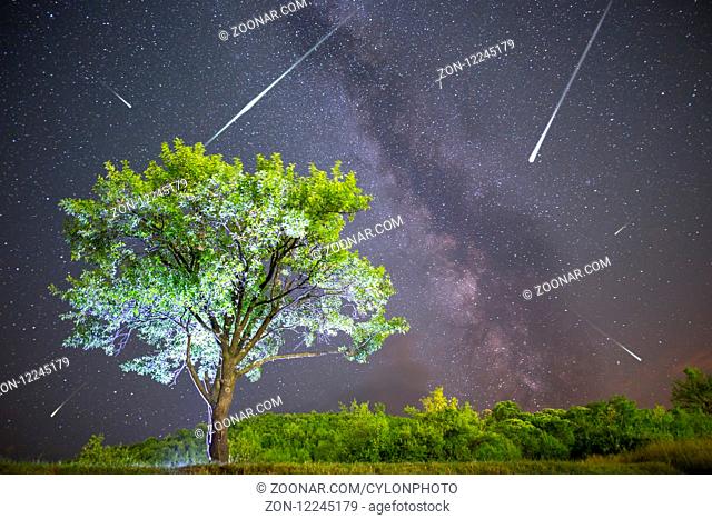 A view of a Meteor Shower and the Milky Way. Green plum tree with plums high in the mountain in the foreground. Night sky nature summer landscape