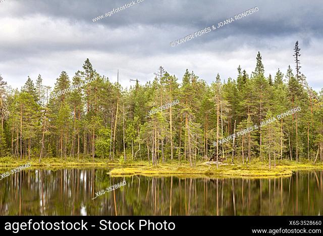 Pyöreälampi lake, Kitkajoki river, Pieni Karhunkierros day trail, National Park of Oulanka, Kuusamo, Finland