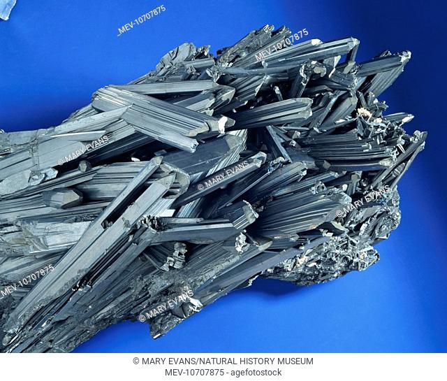 Stibnite (antimony sulphide) is a metallic mineral with fine, long crystal clusters. Specimen from the collections of the Natural History Museum, London