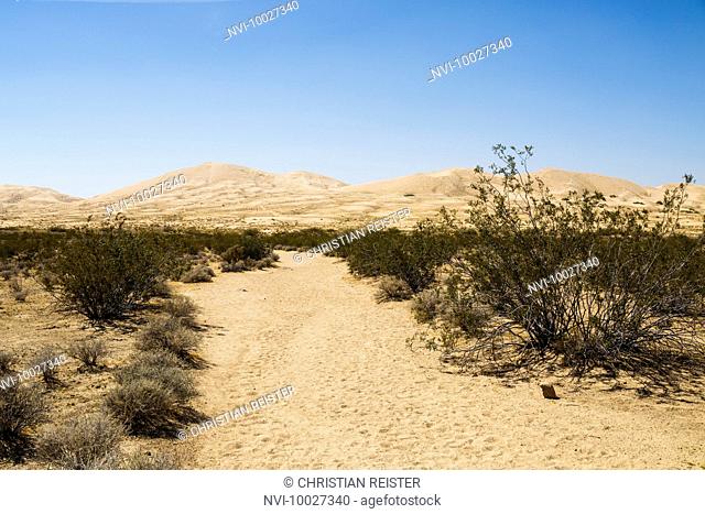 Kelso Dunes, Mojave Desert, Mojave National Preserve, California, USA