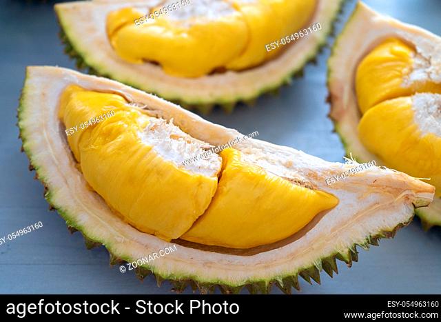 Malaysia famous fruits durian musang king, sweet golden creamy flesh