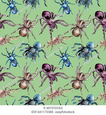 Exotic tarantula wild insect pattern in a watercolor style. Full name of the insect: tarantula, spider. Aquarelle wild insect for background, texture
