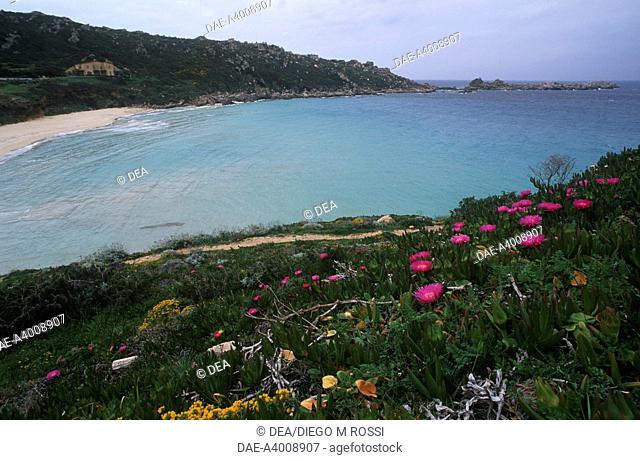 Italy - Sardinia Region - Olbia-Tempio province - Santa Teresa di Gallura, Rena Bianca beach