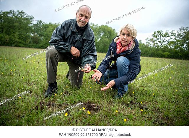 09 May 2019, Baden-Wuerttemberg, Kappel-Grafenhausen: Dietmar Keil, biologist and nature filmmaker, and his daughter Silke Keil hold Hummelorchideen in their...