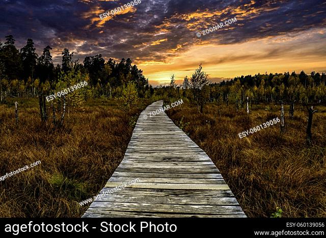 autumn forest wooden trail path with a beautiful sunset
