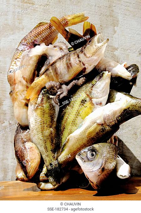 Raw fish composition