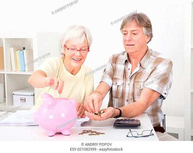 Senior Couple Calculating Coins