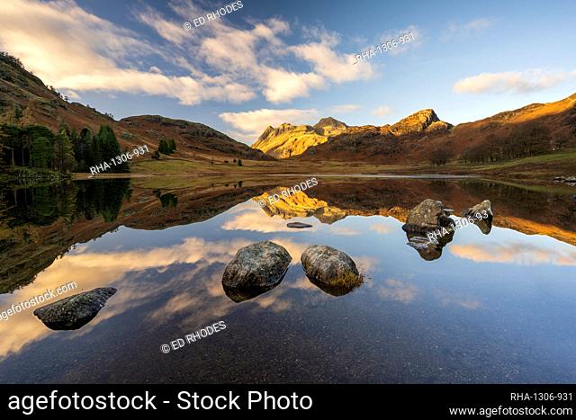 Blea Tarn with mirrored reflections in autumn, Blea Tarn, Lake District National Park, UNESCO World Heritage Site, Cumbria, England, United Kingdom, Europe
