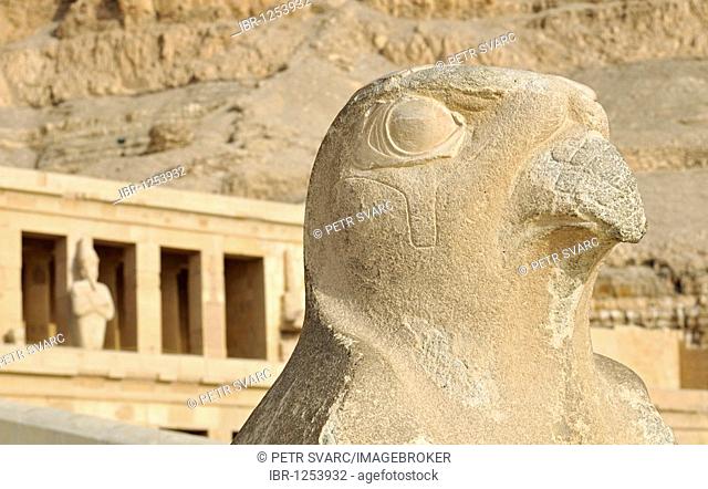 Close-up of Falcon, Horus statue at Mortuary Temple of Queen Hatshepsut at Deir el Bahri near Luxor, Egypt, North Africa