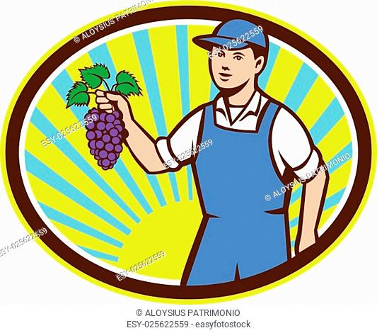 Illustration of an organic farmer boy wearing hat holding grapes viewed from the front set inside oval shape with sunburst in the background done in retro style