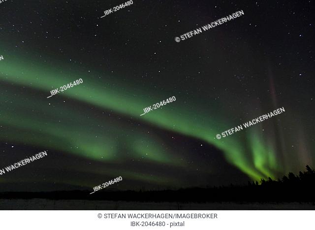 Swirling northern polar lights, Aurora borealis, green, near Whitehorse, Yukon Territory, Canada, America
