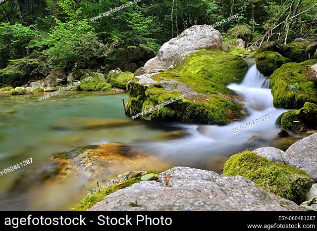 Alpine river in Valle Pesio, Piedmont