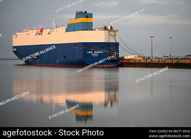 02 September 2023, Lower Saxony, Emden: The car carrier ""Lake Wanaka"" is moored at the car loading dock, while cars from Volkswagen and Audi are parked in the...