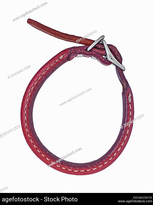 vintage red leather dog collar over white