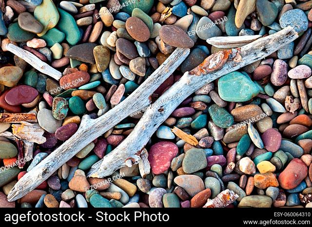 Driftwood twigs on a beach of colorful pebbles and stones