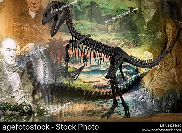 England, Isle of Wight, Sandown, Dinosaur Isle Museum, Display of Dinosaur Skeleton in front of Pictorial Montage of Famous Historical Geologists and...