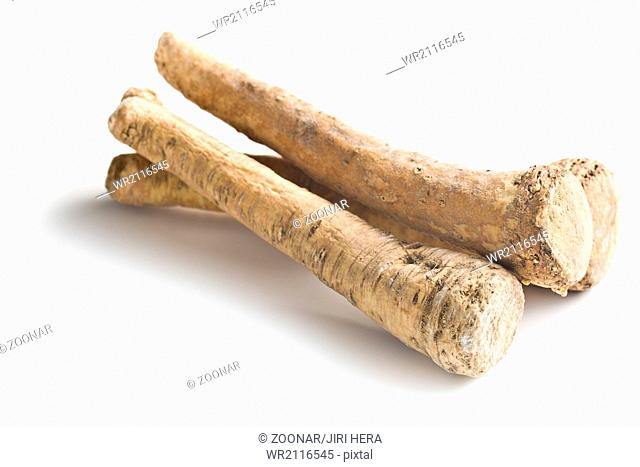 fresh horseradish root