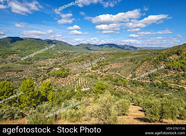 Natural landscape at Sierra de Cazorla, Segura and Las Villas Natural Park, Jaen province, Andalusia, Southern Spain Europe